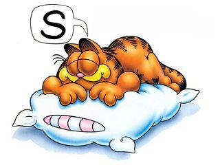 garfield_sleeping-med